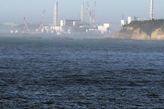 "Nous avons pu confirmer que les premiers rejets d'eau ne contenaient pas de radionucléides à des niveaux nocifs", a dit Rafael Grossi, directeur de l'AIEA.